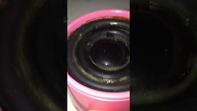 Mini speaker extreme bass stress test