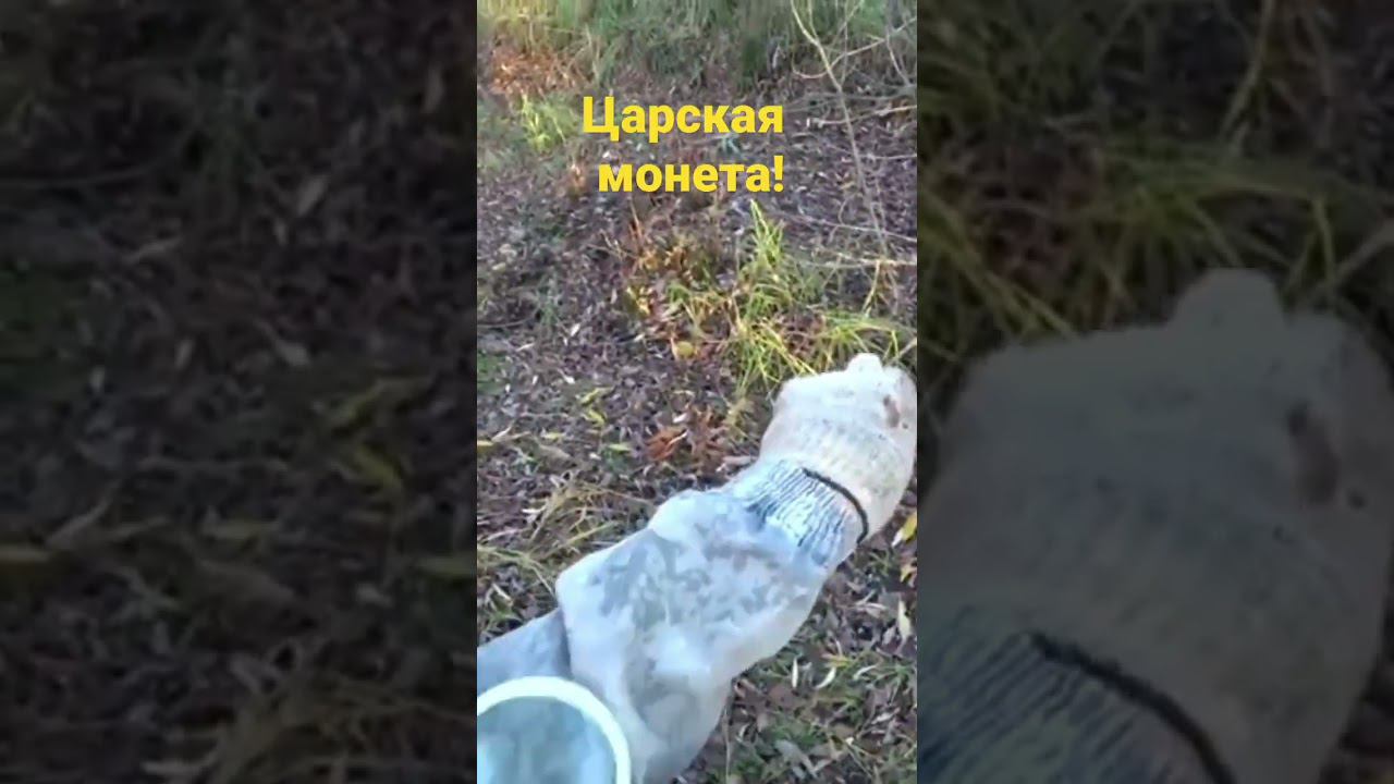Царская монета!