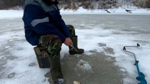 Первая подледная рыбалка в этом сезоне.