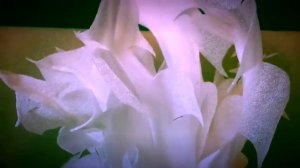 Большие Перья для фотозон и декора|Своими руками|Подложка