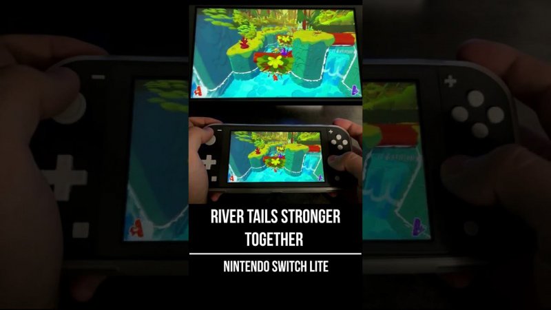 River Tails Stronger Together Nintendo Switch Lite Gameplay