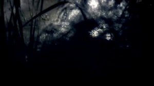 Суд присяжных и След нарезка