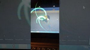 как сделать star platinum requiem