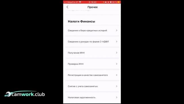 Легальность вебкам работы в России. Можно ли узаконить доход?  ? Всё про вебкам
