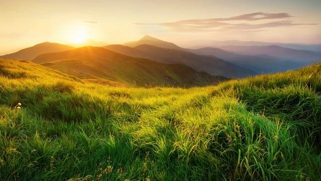 Relaxing Piano Music: Sleep Music, Meditation Music, Study Music, Soothing Music ★39 смотреть онлайн