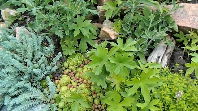 Строю подпорную стенку