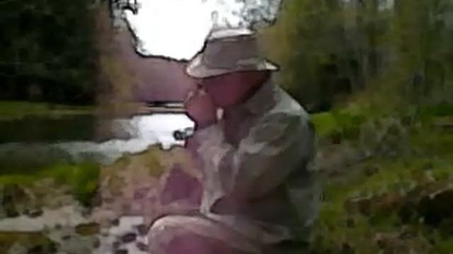 You Got to Move solo harmonica смотреть онлайн