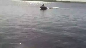 Лодка ривьера 3200, мотор sea pro t5s.