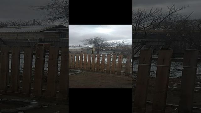 Доброе утро мои хорошие