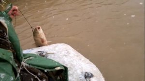 Рыбаки в каракумском канале