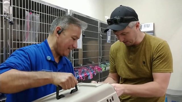 ПОКУПКА КОТА В АМЕРИКЕ.ВСТРЕЧА С МАЛЕНЬКИМ ВАСЬКОЙ смотреть онлайн