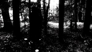 Jony - Комета РОК ВЕРСИЯ Кавер (Cover by SKYFOX ROCK)