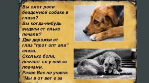 Собака-скучака: как помочь питомцу, который тоскует по хозяину