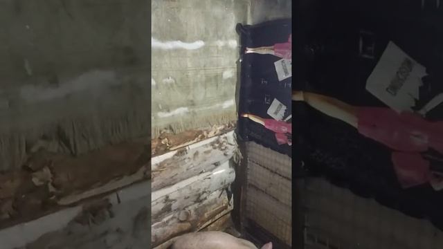 ВЕС ПОРОСЯТ В 2 МЕСЯЦА/САРАЙ ДЛЯ СВИНЕЙ СВОИМИ РУКАМИ/ смотреть онлайн