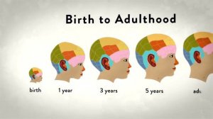 Реинкарнация СУЩЕСТВУЕТ  научные доказательства и факты   ШОК