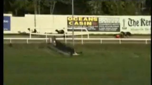 IGB - Lee Strand Butter Stakes Semi-Final 10/05/2019 Race 3 - Tralee смотреть онлайн