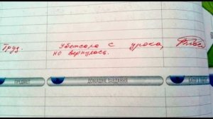Смешные замечания в школе. В дневнике.