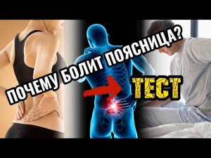 ПОЧЕМУ БОЛИТ ПОЯСНИЦА? Сделай ТЕСТ!!! И УЗНАЙ!