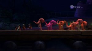 Пингвины Мадагаскара мем