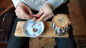 Колка маньчжурского ореха. How to remove a kernel of a Juglans mandshurica.