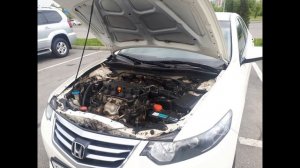 Мойка двигателя Honda Accord. Бюджетно