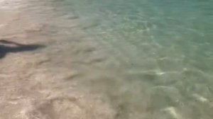 Дубай Марина море солнце пальмы