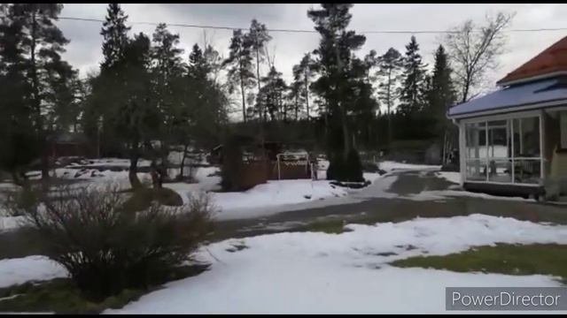 Скворечники в Финляндии.