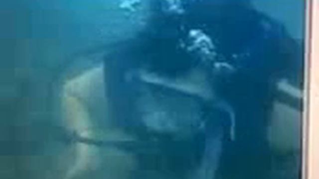 Alex's Black Sea Voyage Slideshow смотреть онлайн