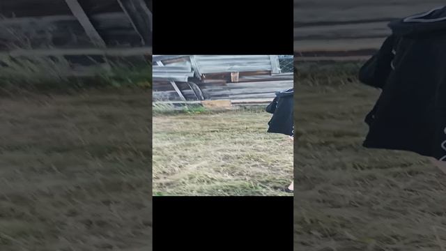 Заброшенная церковь в Воронежской области