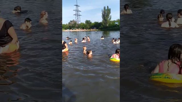 колосничка