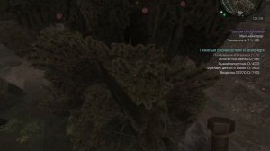 Как лазить по деревьям наглядно Сталкрафт