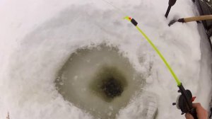 #щука#ОКУНЬ#ЕНИСЕЙ# ЗИМНЯЯ РЫБАЛКА. рыбалка на ЕНИСЕЕ. ловля окуня. ловля щуки. РЫБАЛКА НА ЧЕРВЯ.