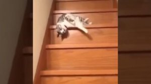 прикол про Диму