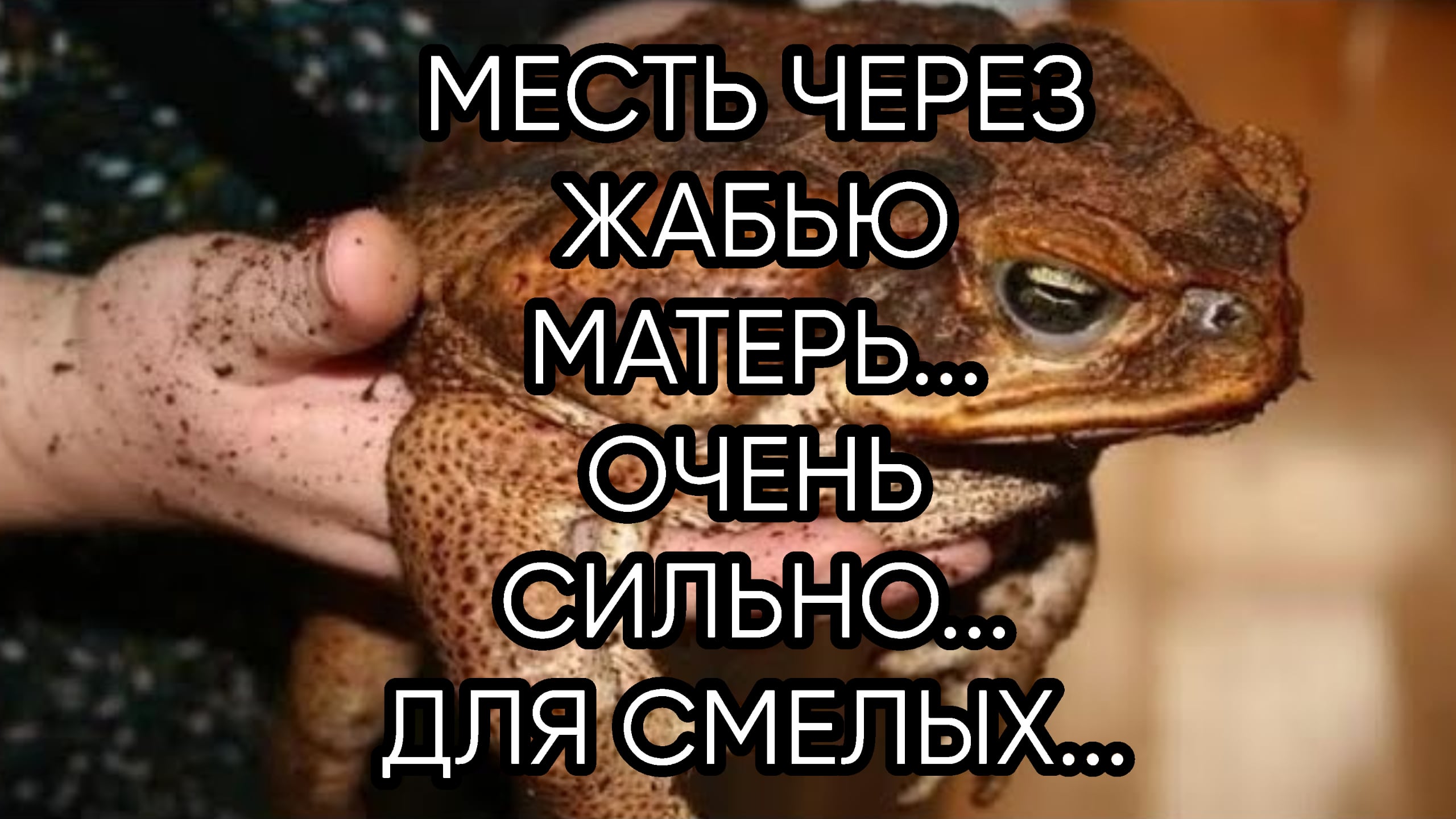 Земляная лягушка