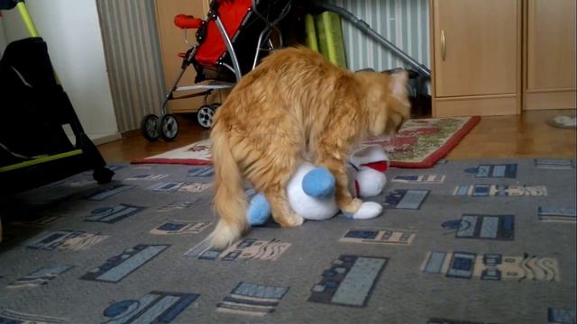 Кот извращенец)))) смотреть онлайн