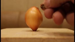 Подготовка к посадке семейного лука