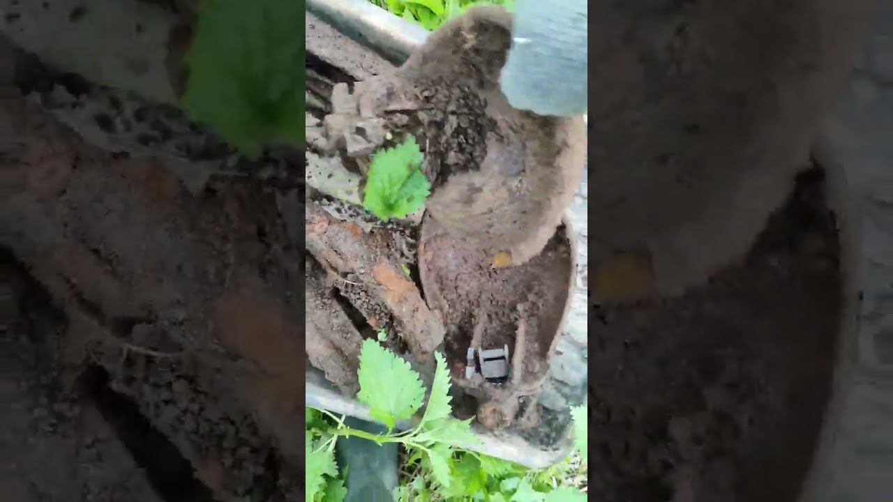 #металокоп По старым местам смотреть онлайн