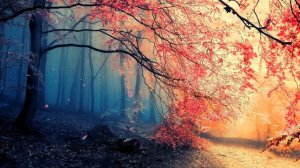 Магический Лес | Сказочный Пейзаж | Magic Forest | Cherry Tries | Fantasy Landscape - Живые Обои