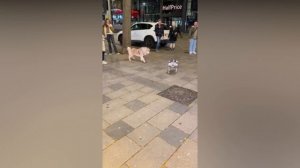 Да что ты такое! ?