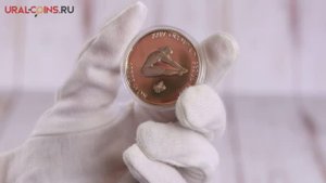 10000 вон "XXIV летние Олимпийские Игры, Сеул 1988 - Прыжки в воду". Серебро. Южная Корея. 1988 год
