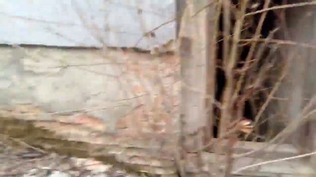 МИНИ-ОБЗОР НА НОВУЮ ИГРУ "ЗОМБИ" | #1 смотреть онлайн