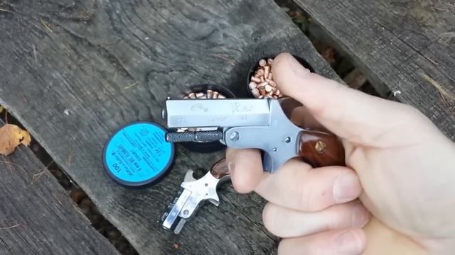 DERRINGER REX смотреть онлайн
