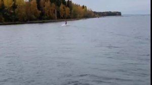 Свой полет по жизни легким сделай сам...