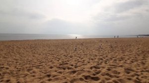 Комарово Ленинградская область пляж vlog