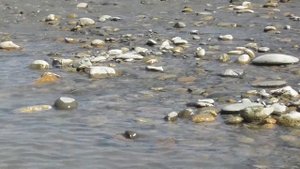 Без слов. Река Кубань около невинномысской плотины