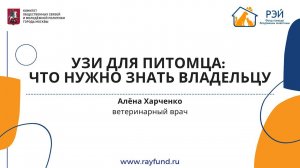 УЗИ для питомца: что нужно знать владельцу