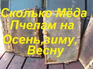 Нежданчик!"Утрамбовать"пчел один корпус в зиму.6 месяцев 100%гарантия зимовки."Узбек"пакеты на  зиму