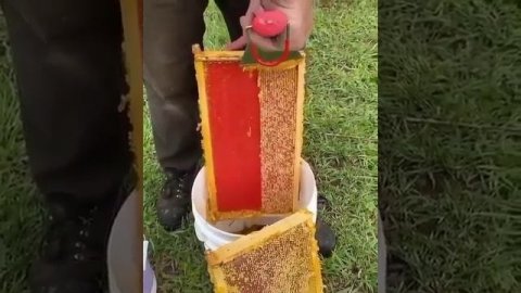 Залипательное видео