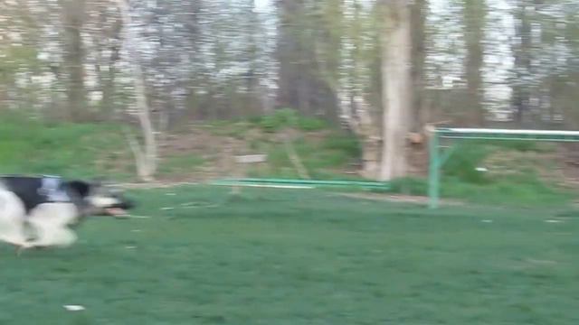 ВЕО ВИВАТ АВЕНТА АЙРА