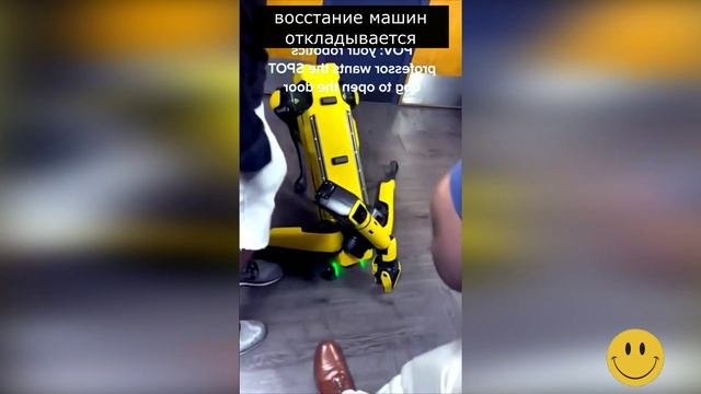 Приколы и смешные фейлы #5
